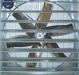 ؓ���L�C�͹��I���L�ȵą^�e���˽��